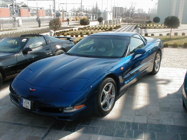 P1010001.jpg