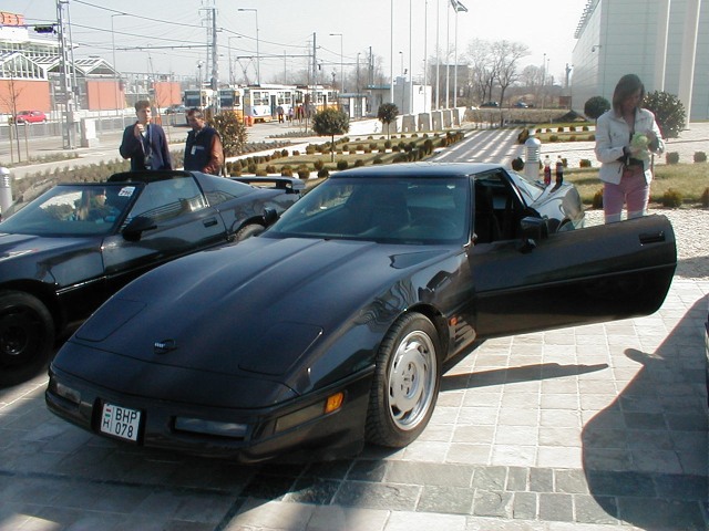 P1010005.jpg