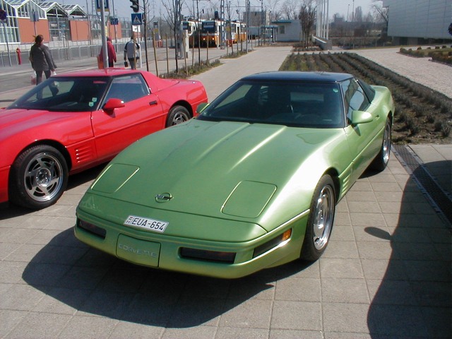 P1010010.jpg