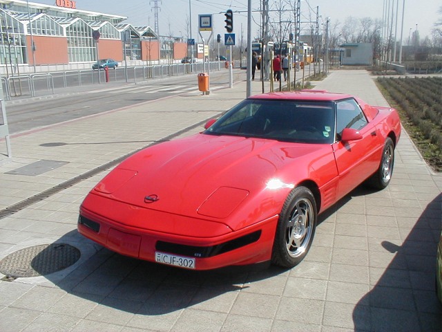 P1010011.jpg