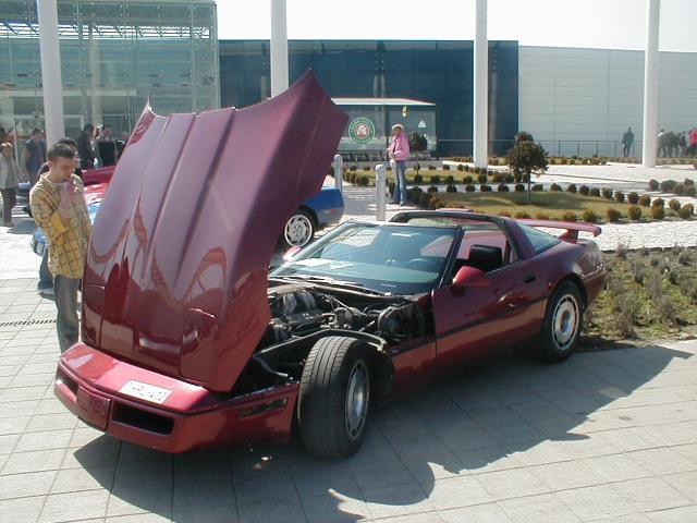 P1010014.jpg
