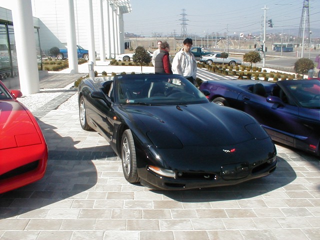 P1010020.jpg