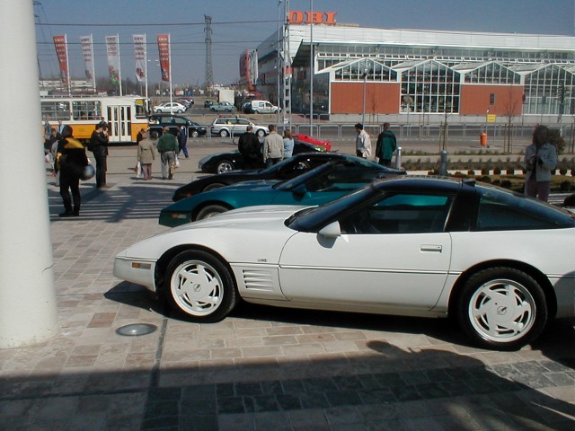 P1010024.jpg