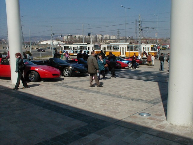 P1010025.jpg