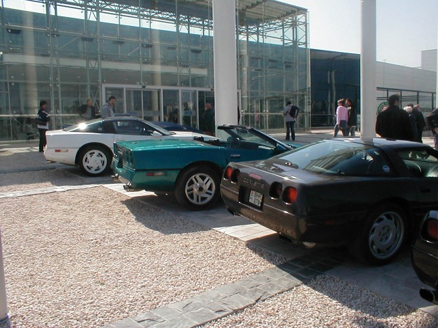 P1010035.jpg