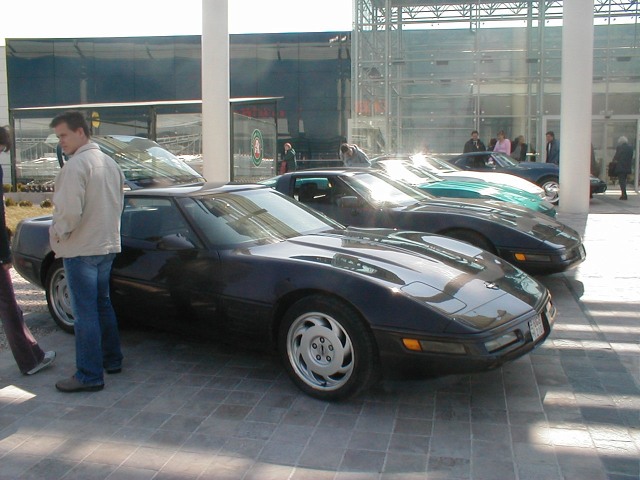P1010036.jpg