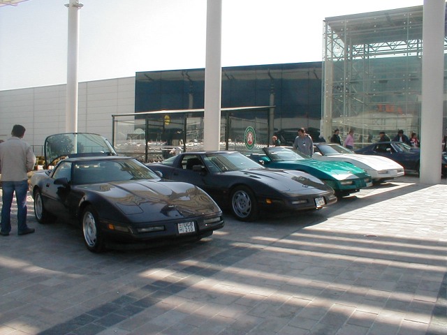 P1010037.jpg