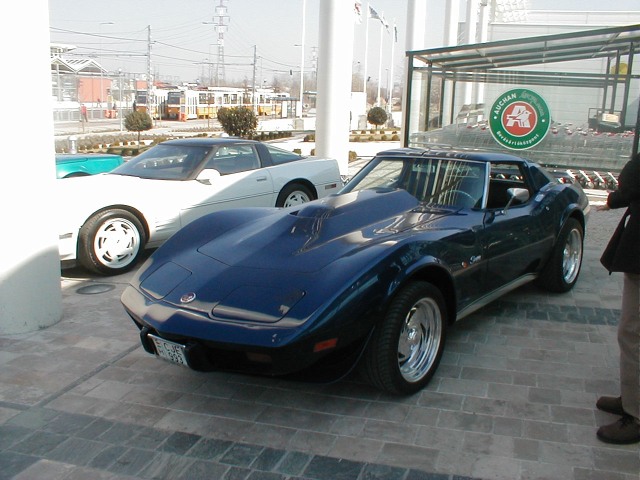 P1010039.jpg