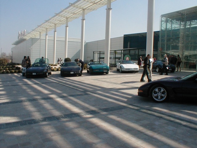 P1010049.jpg