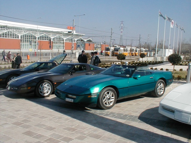 P1010061.jpg