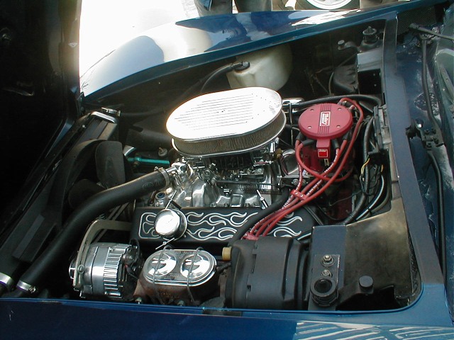 P1010065.jpg
