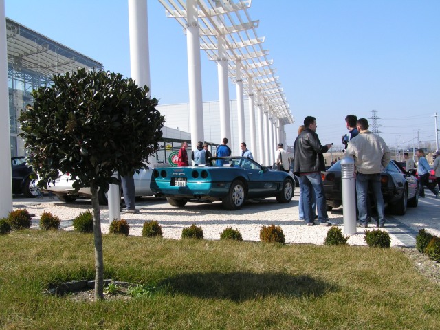 PICT4464.jpg