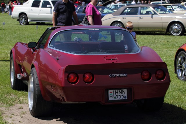 IMG_131720100522.JPG