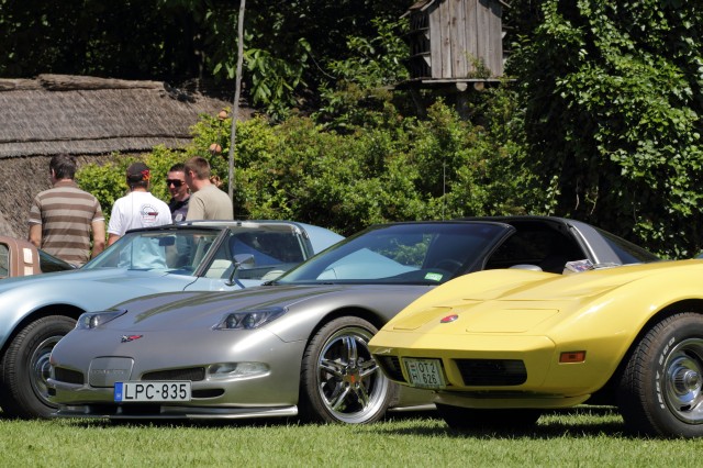IMG_134020100522.JPG