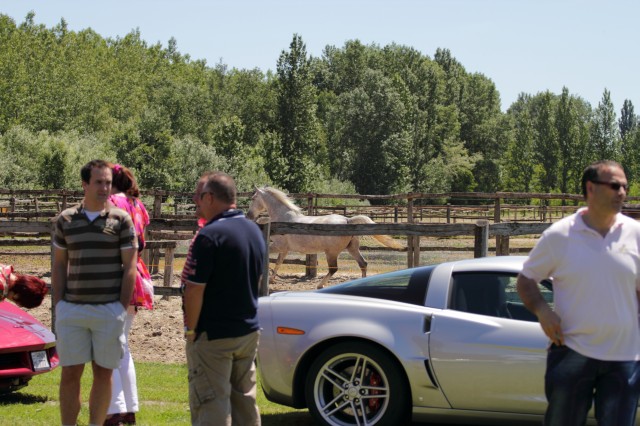 IMG_136920100522.JPG