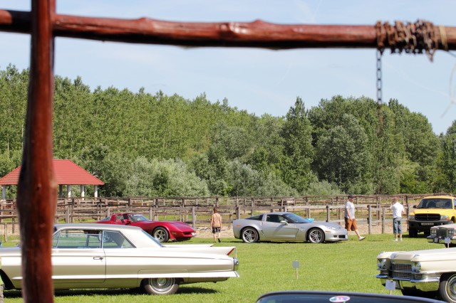 IMG_144120100522.JPG