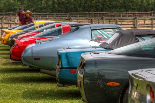 IMG_1198_tonemapped.jpg