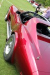 IMG_1135.JPG