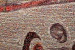 IMG_2766.JPG