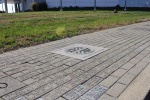 IMG_2937.JPG