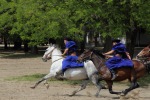IMG_8236.JPG