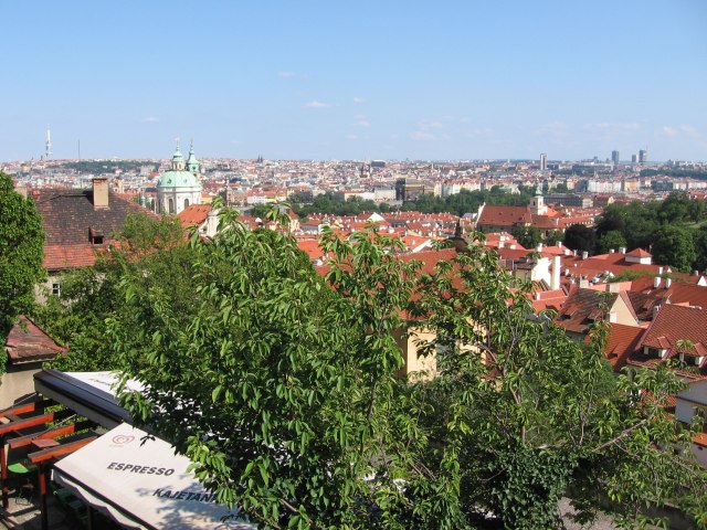 IMG_1431.JPG