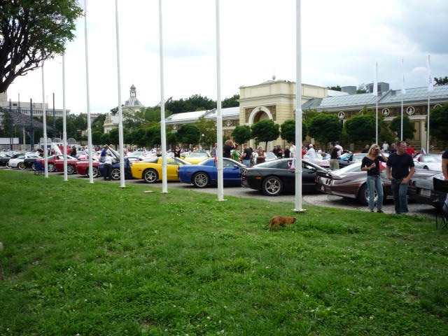P1000062.JPG