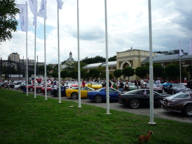 P1000063.JPG