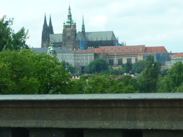 P1000119.JPG